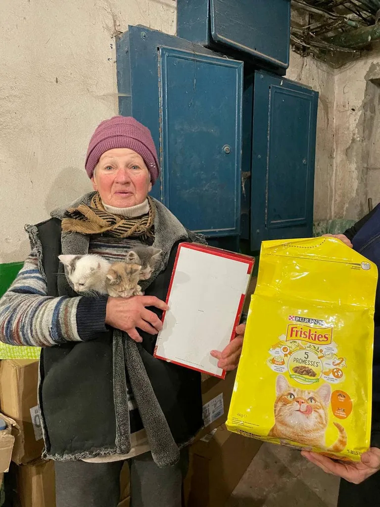 Об'єднані бажанням допомагати: як Purina®, Happy Paw та Нова пошта підтримують тварин